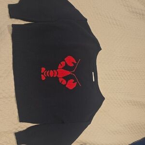 Hollister Navy Blue Sweater with Red Lobster Design